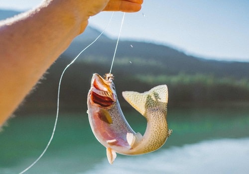 fishing in western Mongolia