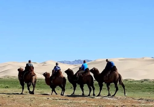 Gobi desert Mongolia