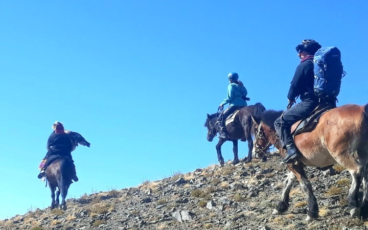 during hunting with eagle tour in the altai mountains, Mongolia