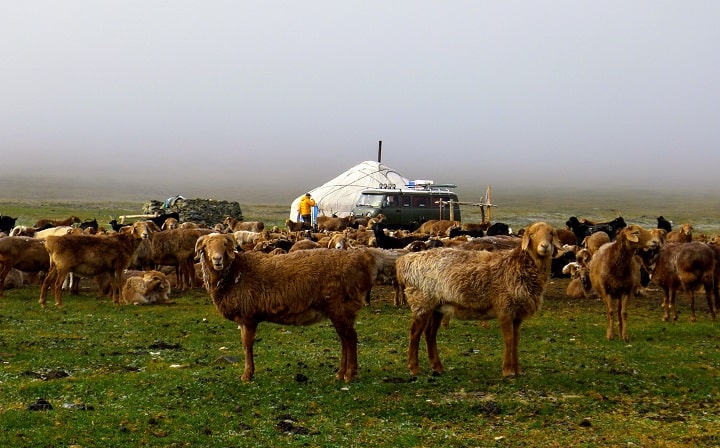 nomadic lifestyle in western Mongolia