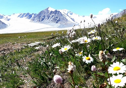 Mongolian Altai mountains