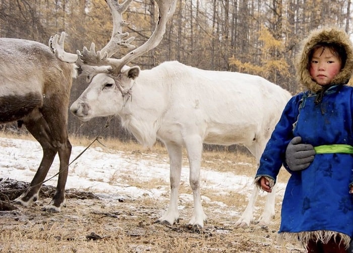 reindeer herder boy