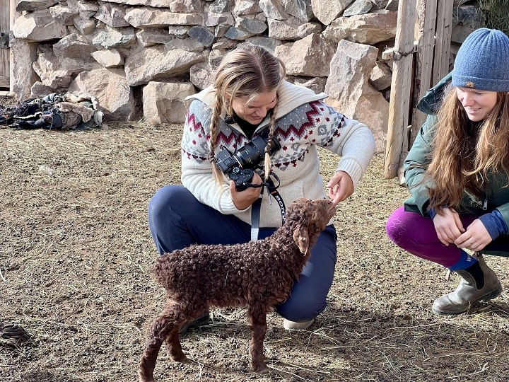 clents with new born lambs during our spring photography tour