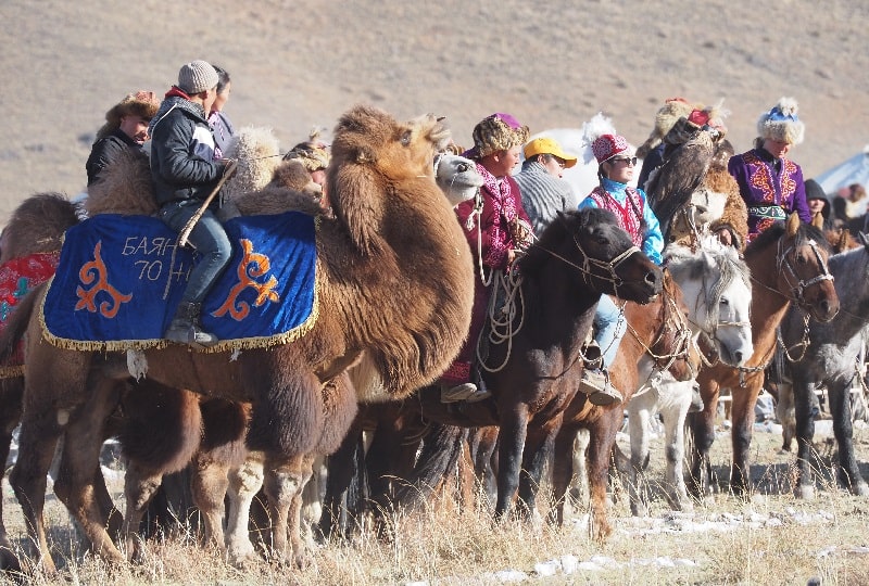 camel riders and other game participants at the festival