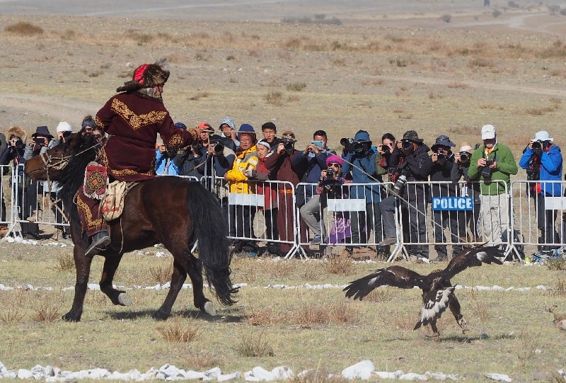 during the competition among eagle hunters