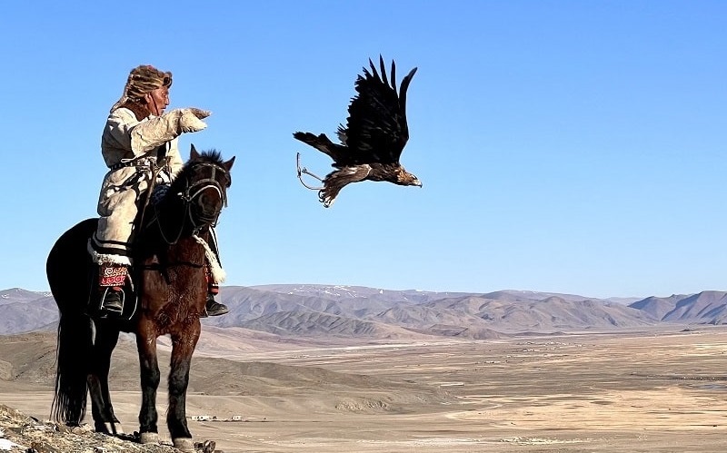 eagle hunter letting his bird fly for the prey