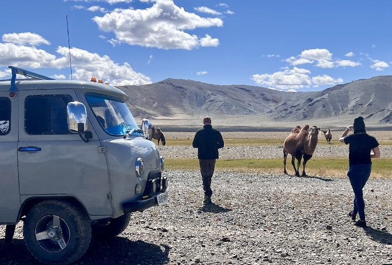 break for photographing camels of Mongolia