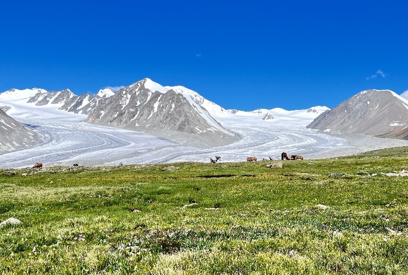 peaks and glaciers