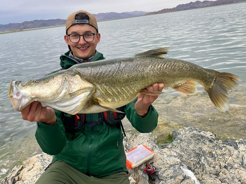 Lake fish in western Mongolia