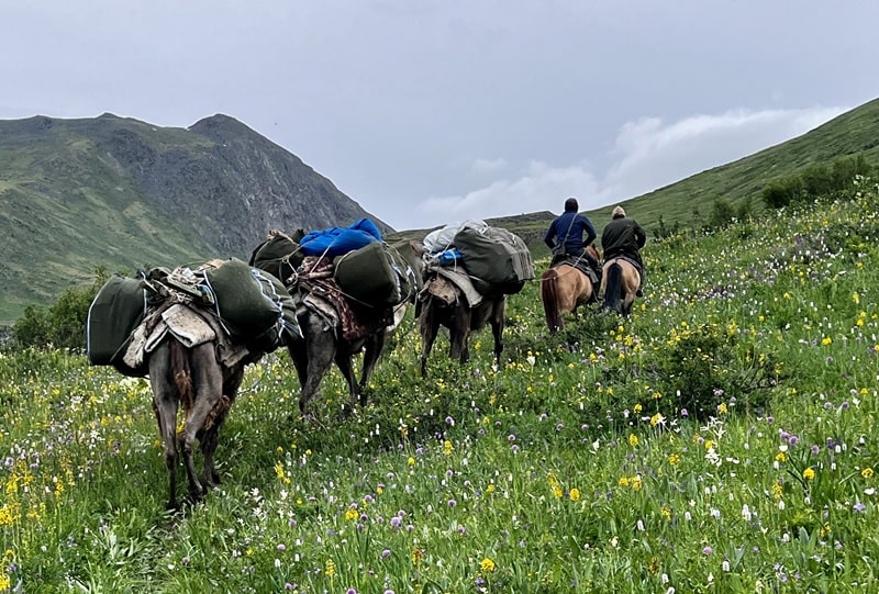 pack camels supporting the trek