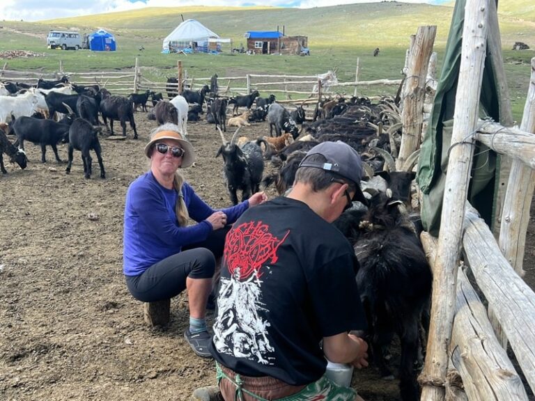 Client being a nomad herder for a day