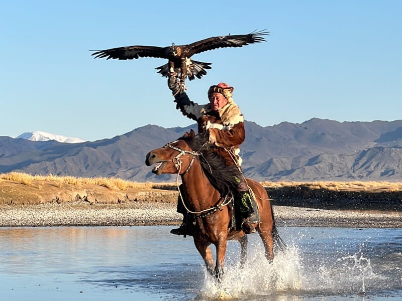 eagle hunter posing